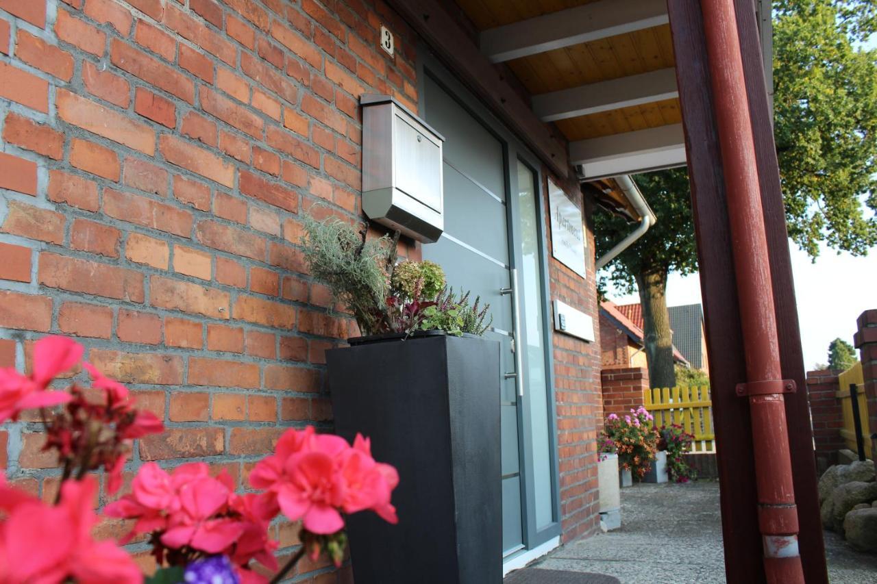 Apartment Hanske Isenbüttel Dış mekan fotoğraf