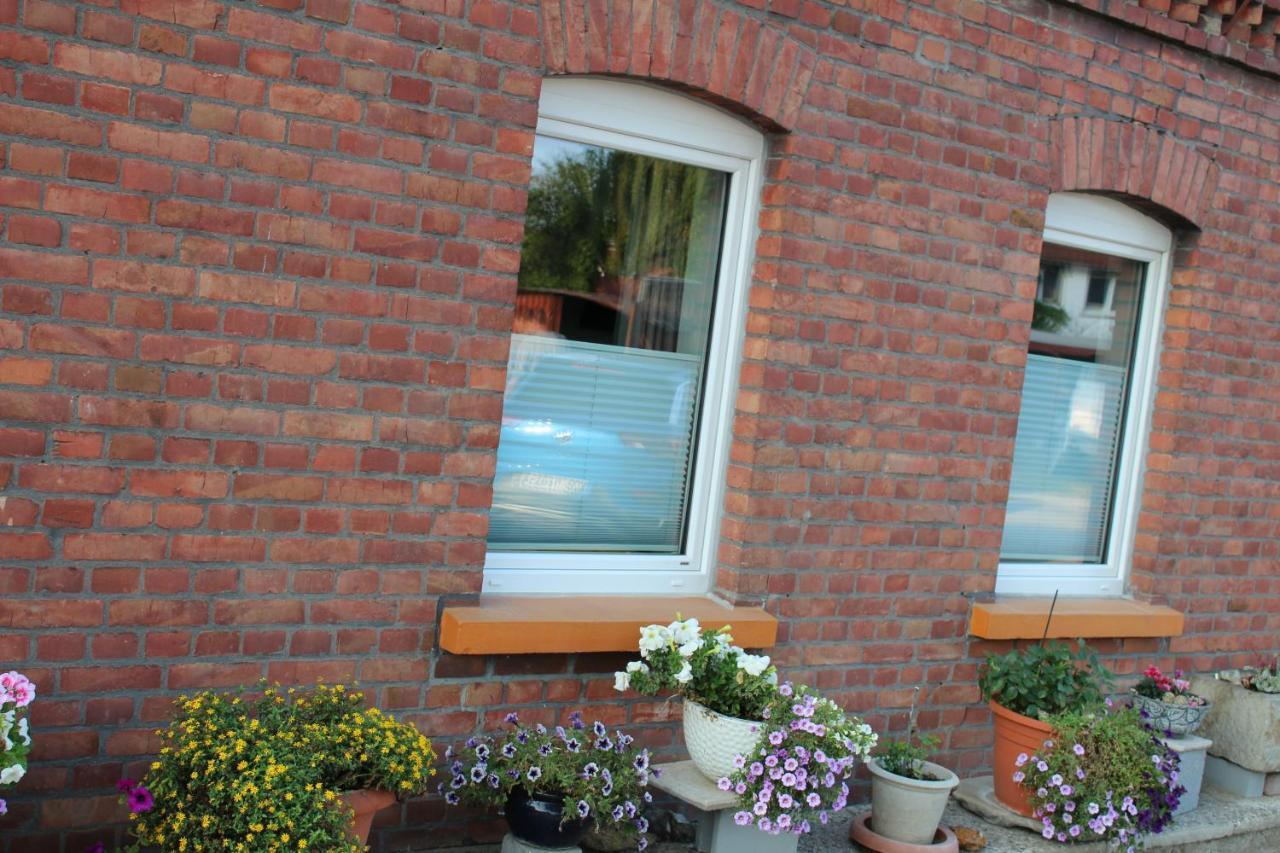 Apartment Hanske Isenbüttel Dış mekan fotoğraf
